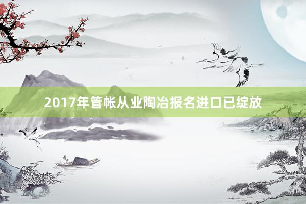 2017年管帐从业陶冶报名进口已绽放