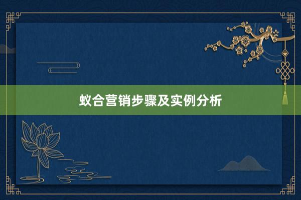 蚁合营销步骤及实例分析